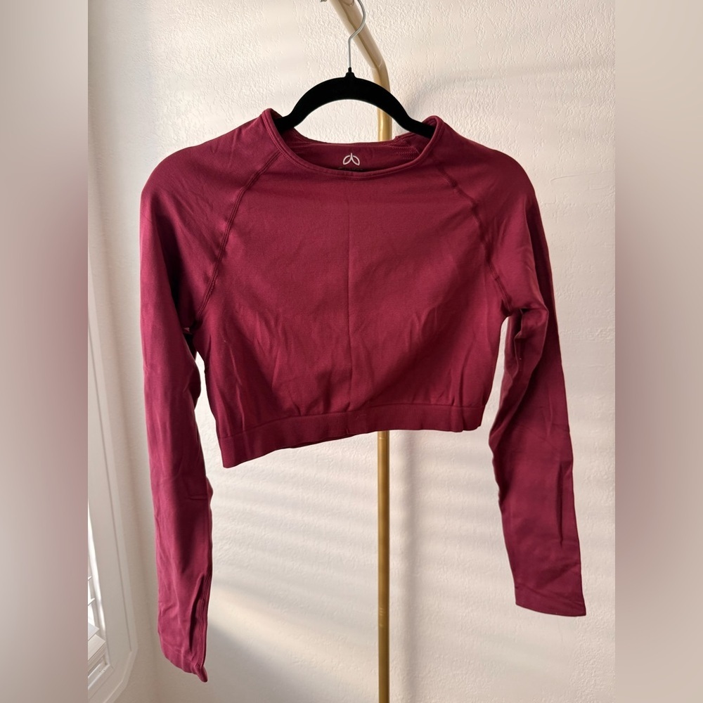 unzel Burgundy Long Sleeve Crop Top Seamless Athletic Workout Top Women’s
